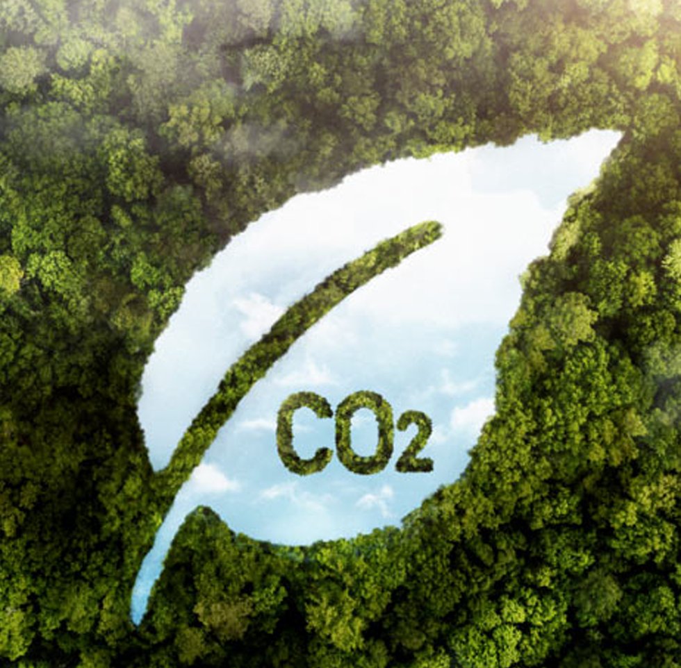 NexGenClimate's tweet image. 🌱🌍 Explore the advantages of carbon credits in accomplishing net zero emissions. 

Contribute to carbon sequestration projects via our website at nexgenclimate.com