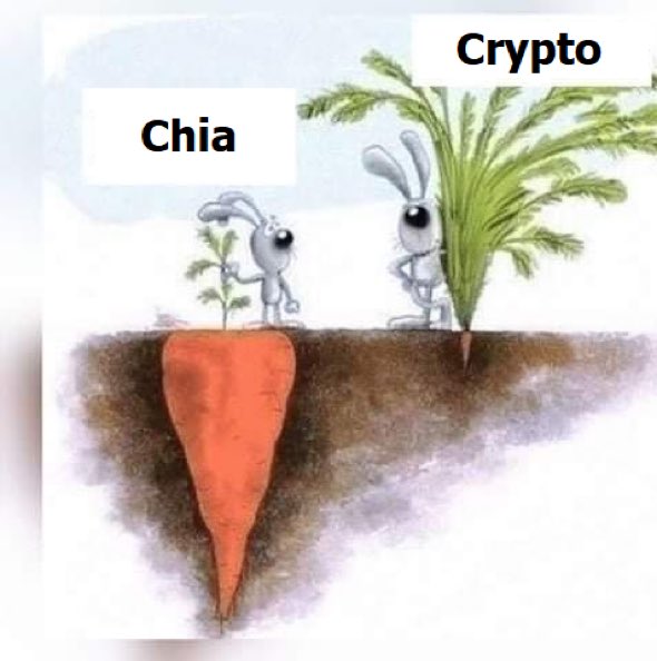 Chia Network News tweet media