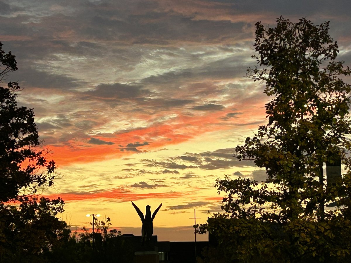 Good Morning <a href="/vianneygriffins/">Vianney Griffins</a>! Verso l’alto! You got this!