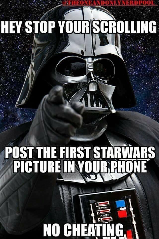 The Wook tweet media