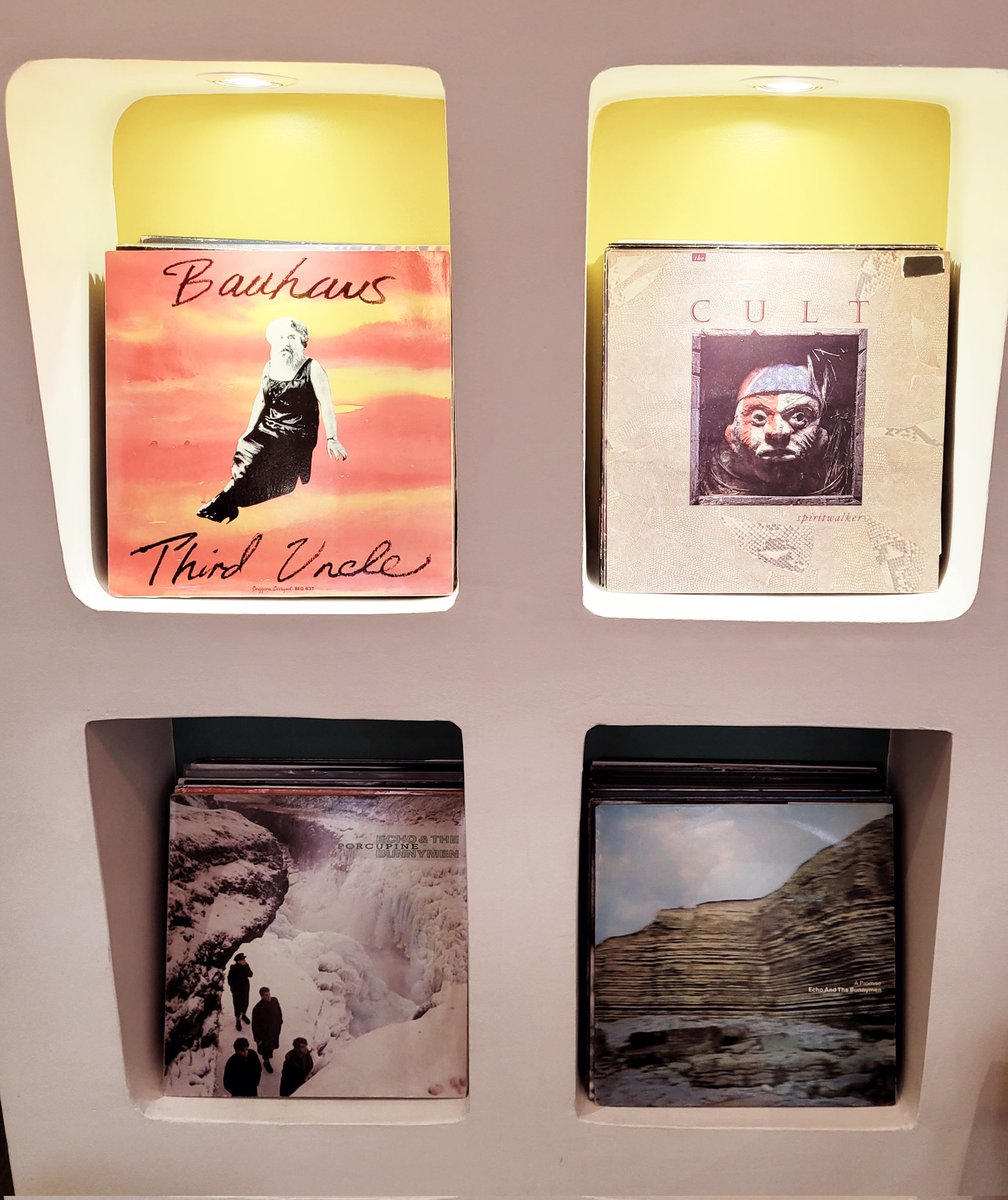 MadluvParis's tweet photo. Bonheur d'une après-midi ❤️
Avec l'aide précieuse de @Arbouse_records
#Luv #Bauhaus #ThirdUncle #TheCult #Spiritwalker #Luv #EchoandTheBunnymen #APromise #Porcupine https://t.co/onGMbJescd