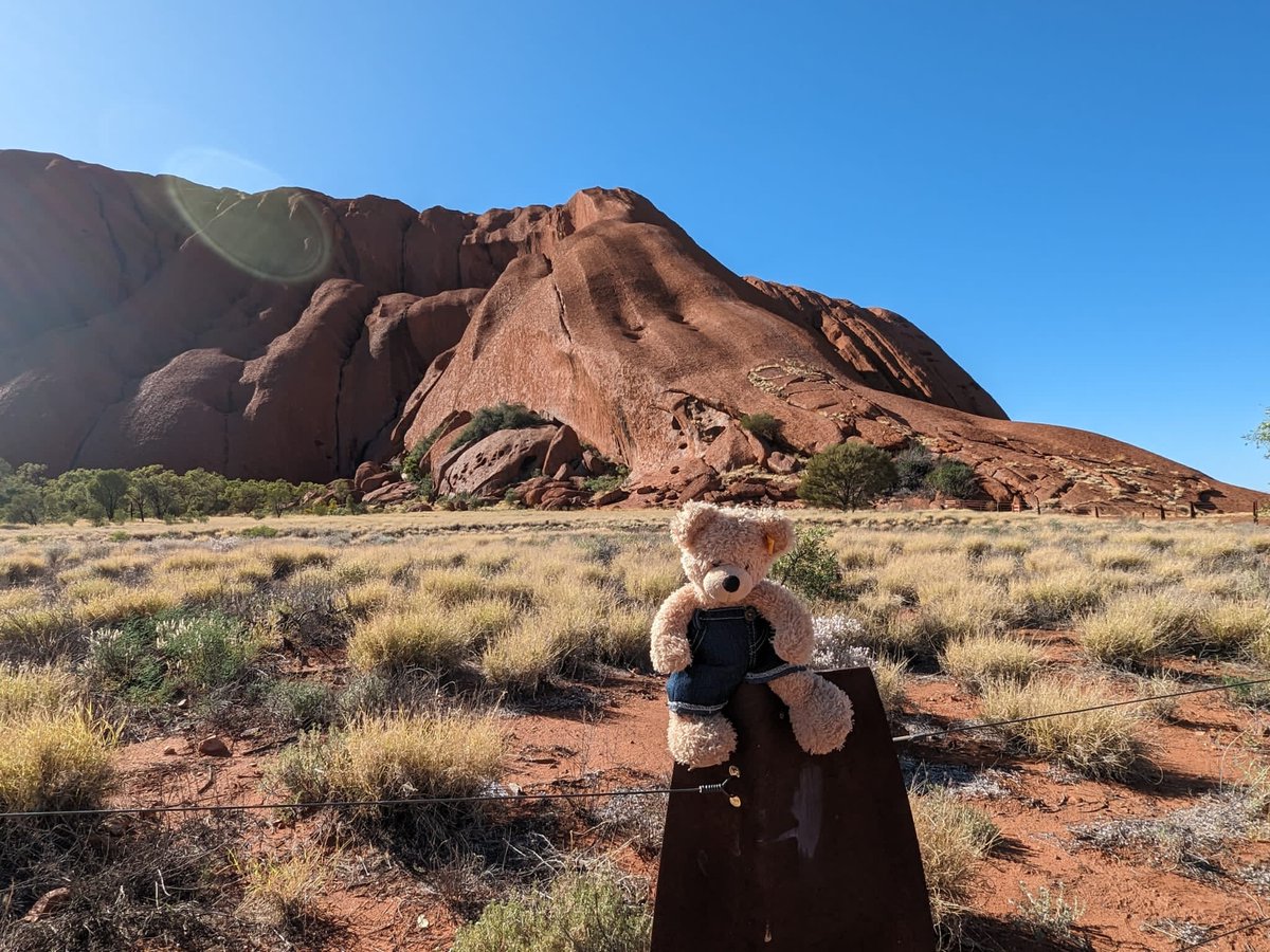 This is where you would have climbed up the rock. But apparently 'Bears are no longer allow to climb the rock!'
How Rude! #FlynnTheBear #AyersRock