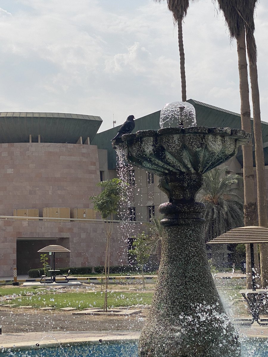 اللهم اجعل لنا نصيب في سعة الأرزاق وتيسير الأحوال وقضاء الحاجات وإجابة الدعوات 🤍