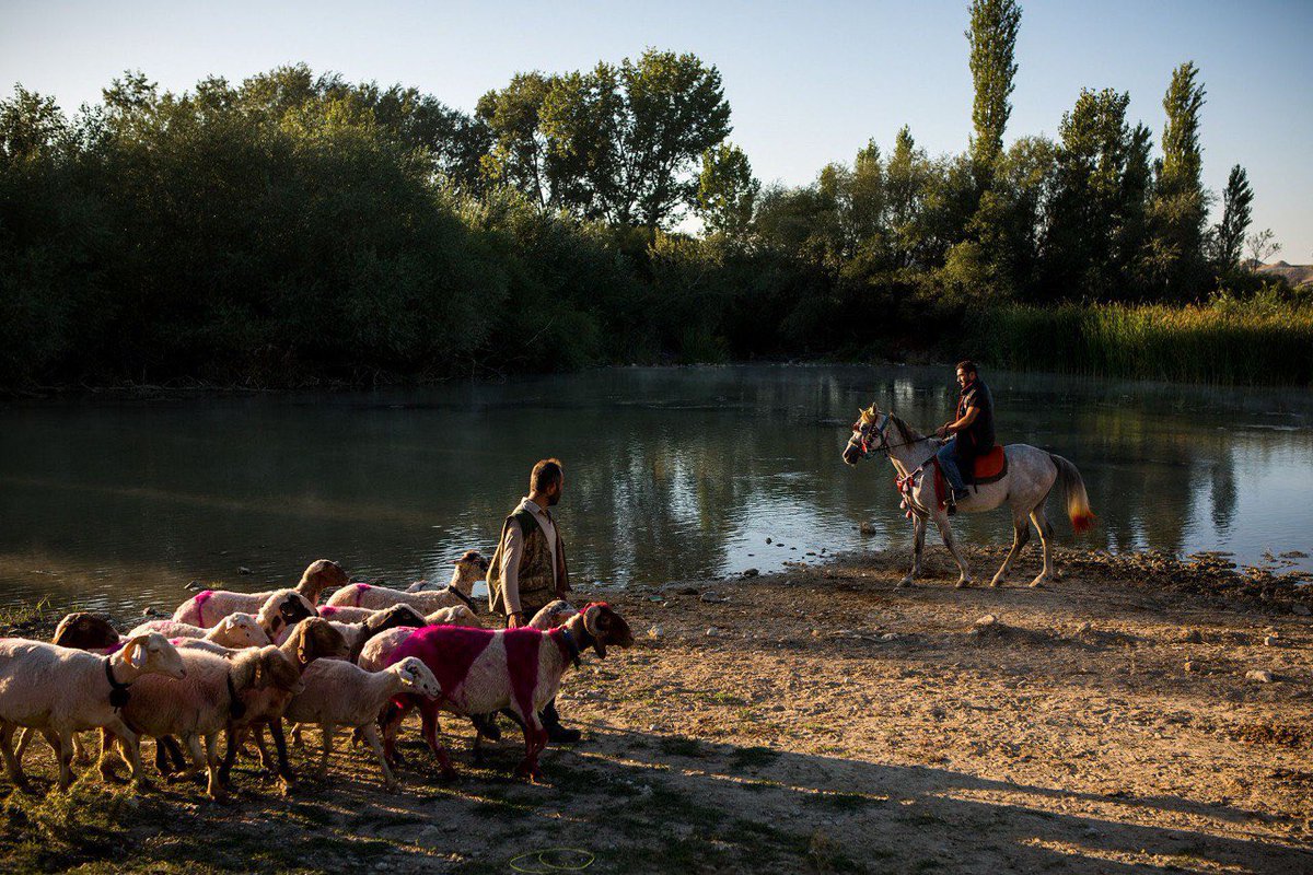 Çağrıya başvurmak için son hafta!

"Doğa Kent İnsan: Zıtlık mı Uyum mu?" çağrısı, fotoğraf ve video çalışmalarınızı paylaşmanızı bekliyor.

Bilgi için: sehrebak.org

📸 Osman Sadi Temizel

#SehreBAK #DogaKentInsan

<a href="/anadolu_kultur/">Anadolu Kültür</a> 
<a href="/bedizyilmaz1/">byb</a>