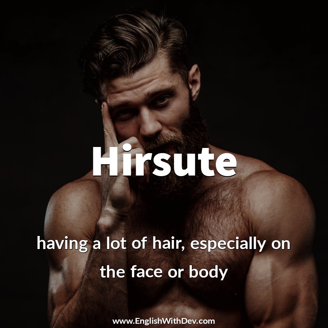 Hirsute (🗣️ ˈhɜː.sjuːt) - having a lot of hair, especially on the face or body

'his hirsute chest'

#EnglishWithDev #learnenglish #wordoftheday #Hirsute #eslteacher #englishteachers #vocabularywords #vocab