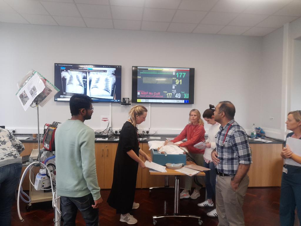 Regina Mulvey Dowling tweet media