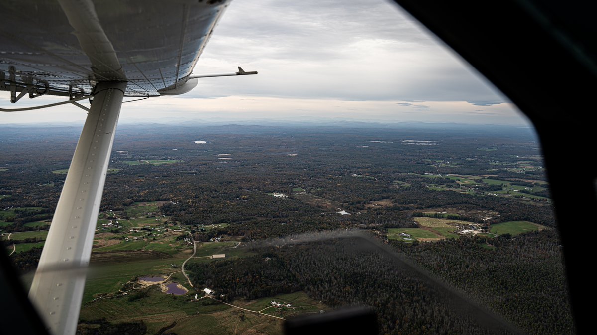 Malcolm Toon tweet media