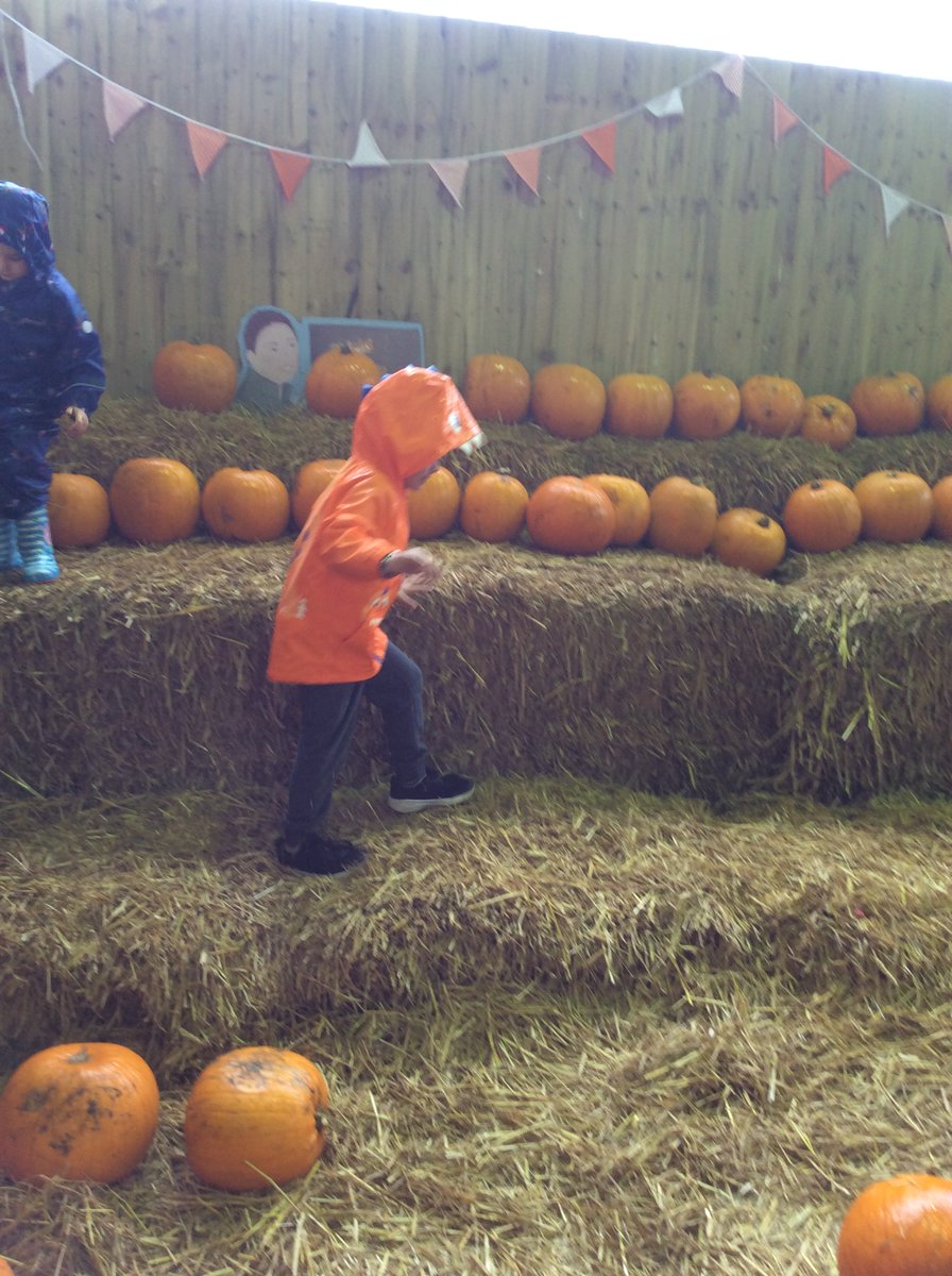What an amazing day had by our Sunshine Class and Woodland Class at Forge Mill Farm. Sensory walks, forest exploration and animal feeding. Well done to all! @devinfacademy @devjunacademy #communityinclusion #SEND #sensoryexploration