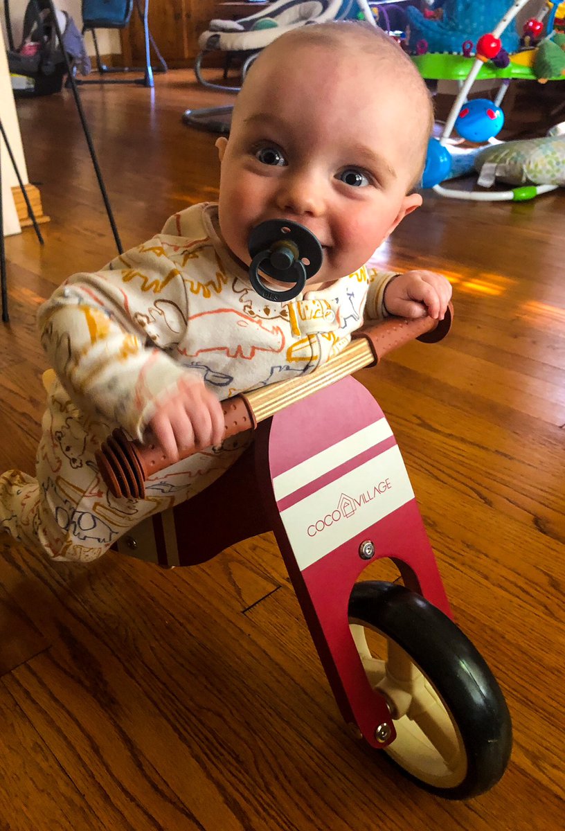 Noah Sabich tweet media