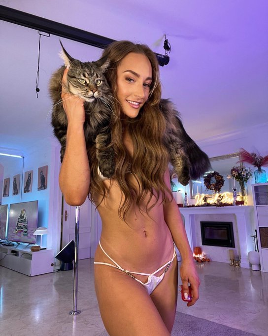 Like my 🐱? https://t.co/S0YrjzQMbw