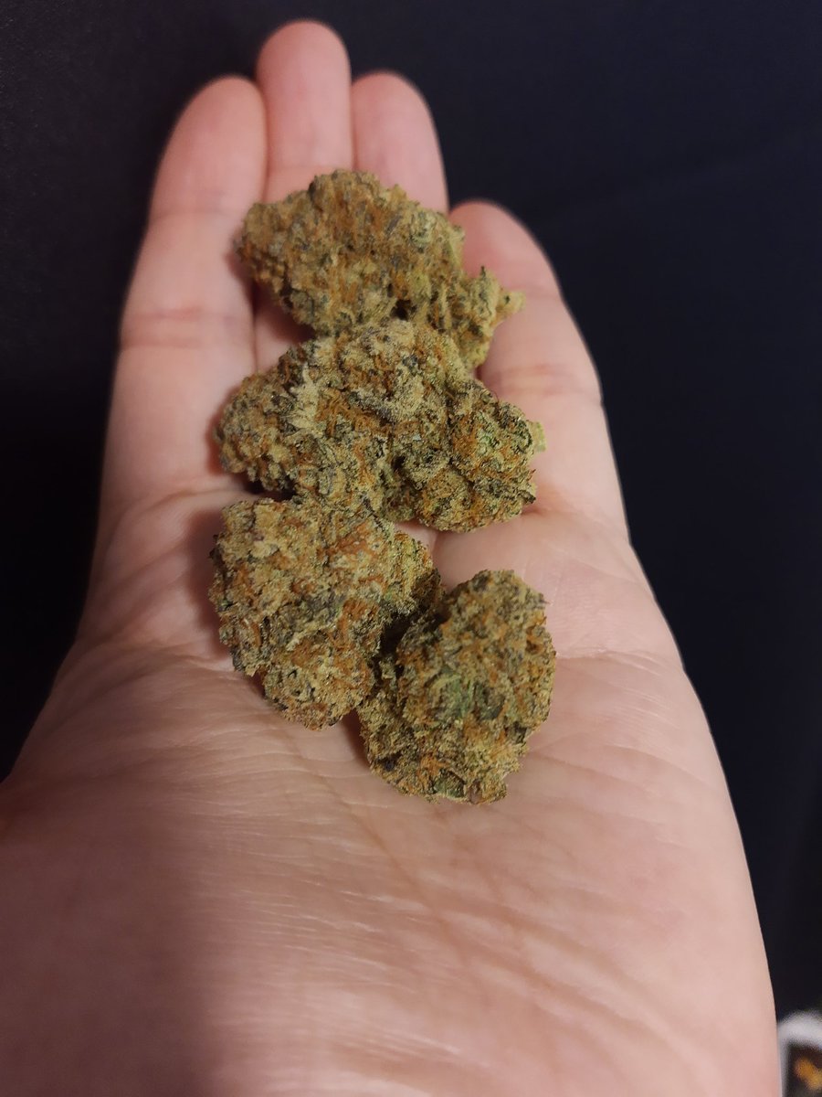 freshcleanjoey's tweet photo. Cyber Fuel x Alien Cake by @40Cannabis. This is that good stuff. One of the best product I smoked legal side. Dominant aroma of lemon + gas. Super dense. I don't really care about size usually but that's 7g in 4 buds. Combustion is flawless. Potent. Tasty. Smooth. *Chef kiss* https://t.co/JEnS2qmXYu
