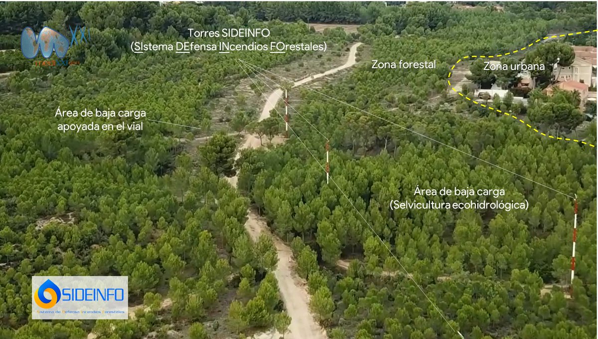 Ferran Dalmau - Rovira tweet media