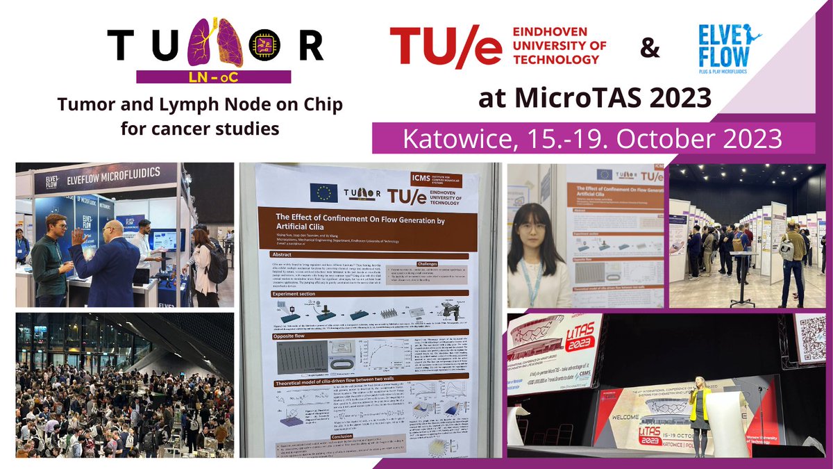 Our partners from <a href="/elveflow/">Elveflow</a> &amp; <a href="/TUeindhoven/">TU Eindhoven</a>  presented their work in #TumorLNoC at @MicroTas2023 in Katowice!

Special congrats to PhD student Yiqing Sun for successfully presenting her work on the effect of #confinement of the #microfluidic flow generated by artificial #cilia.