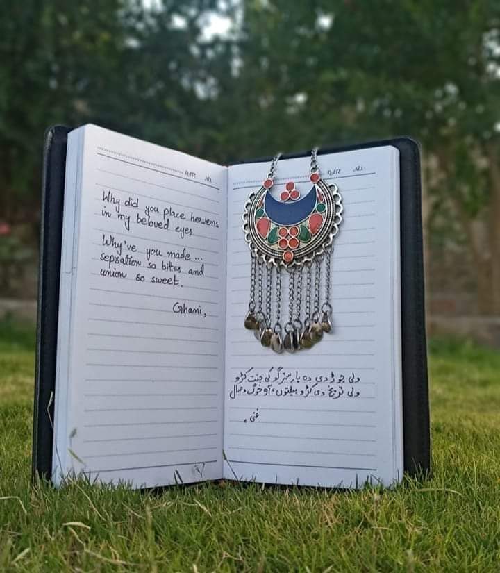 SyedDado's tweet photo. "In the end, we all face mortality; those who yearn for eternal life might be considered eccentric."
#Zrgeya 
#Dado 
#Qau_islamabad https://t.co/YPRhiFhaou