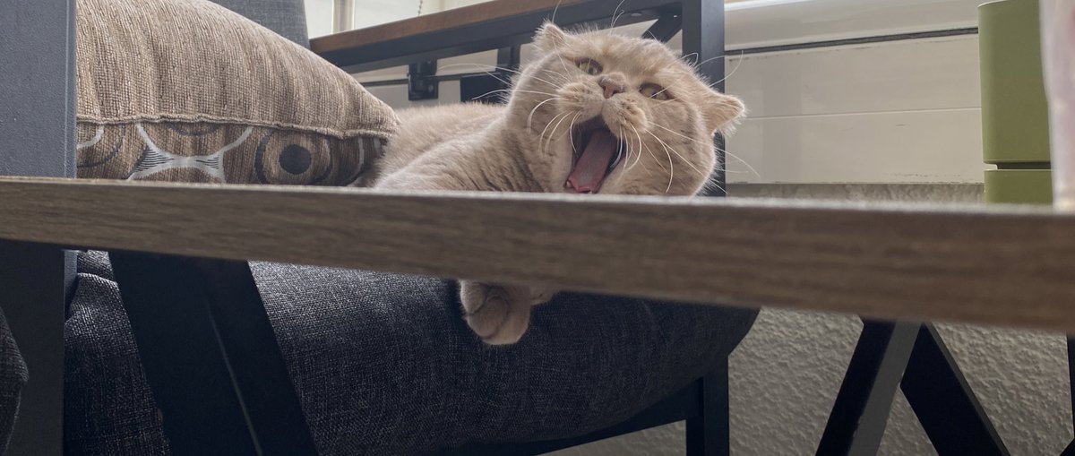 😴
