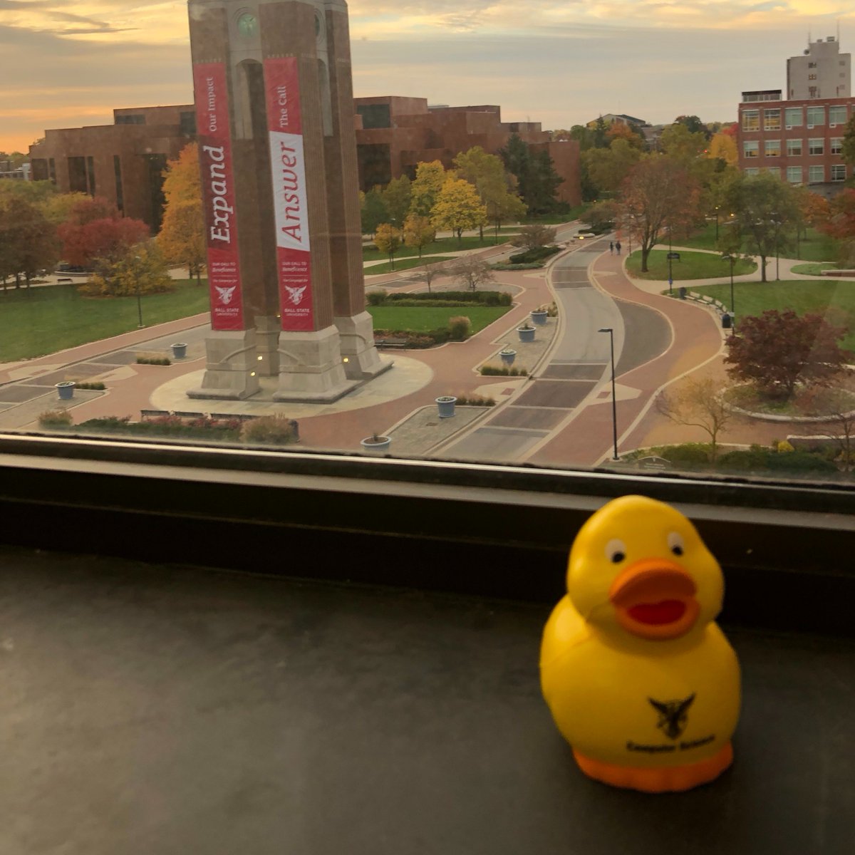 Dr. Jennifer Coy tweet media