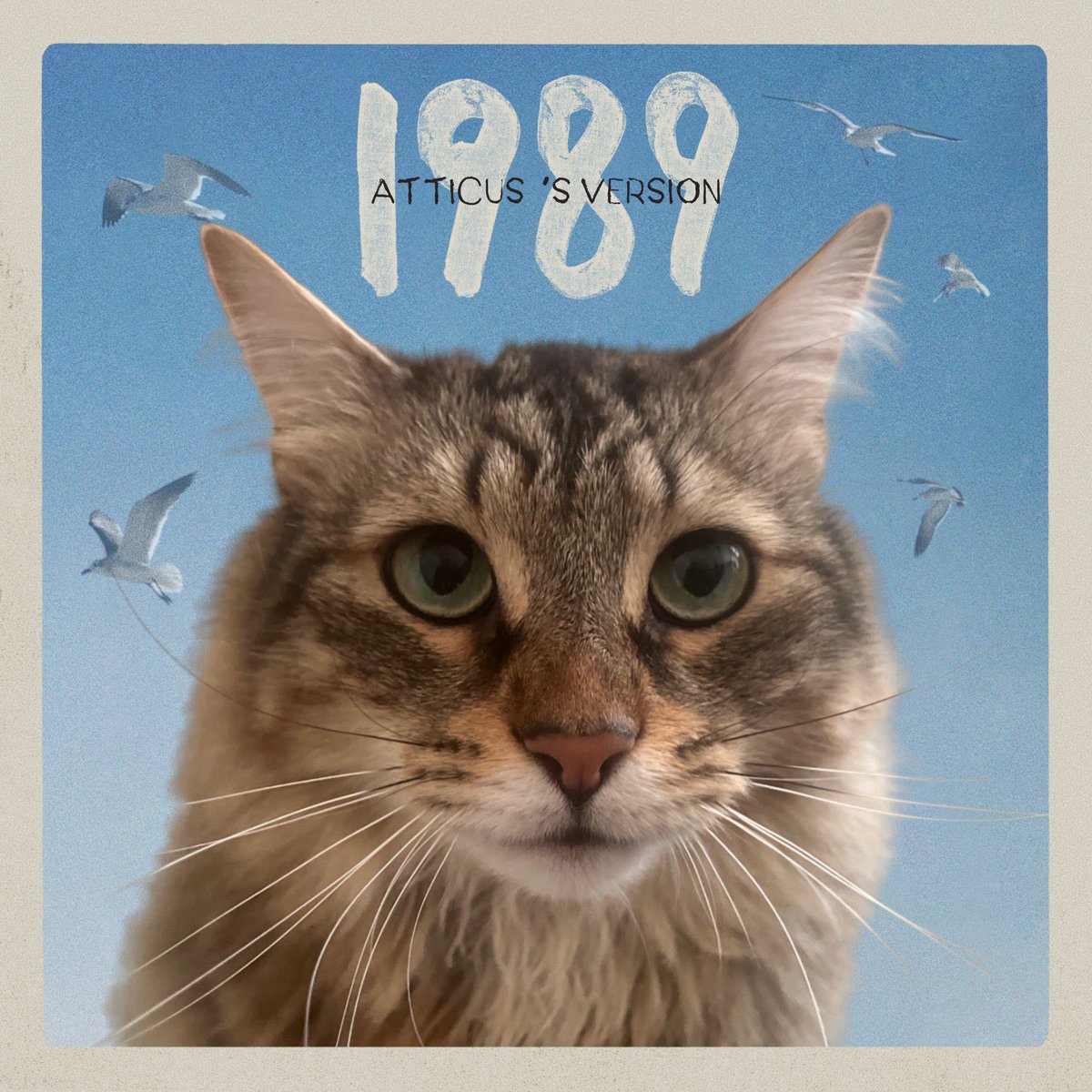 celmai23's tweet photo. The boys are ready to see mom lose her mind over #1989TaylorsVersion https://t.co/8VHfBypqKs