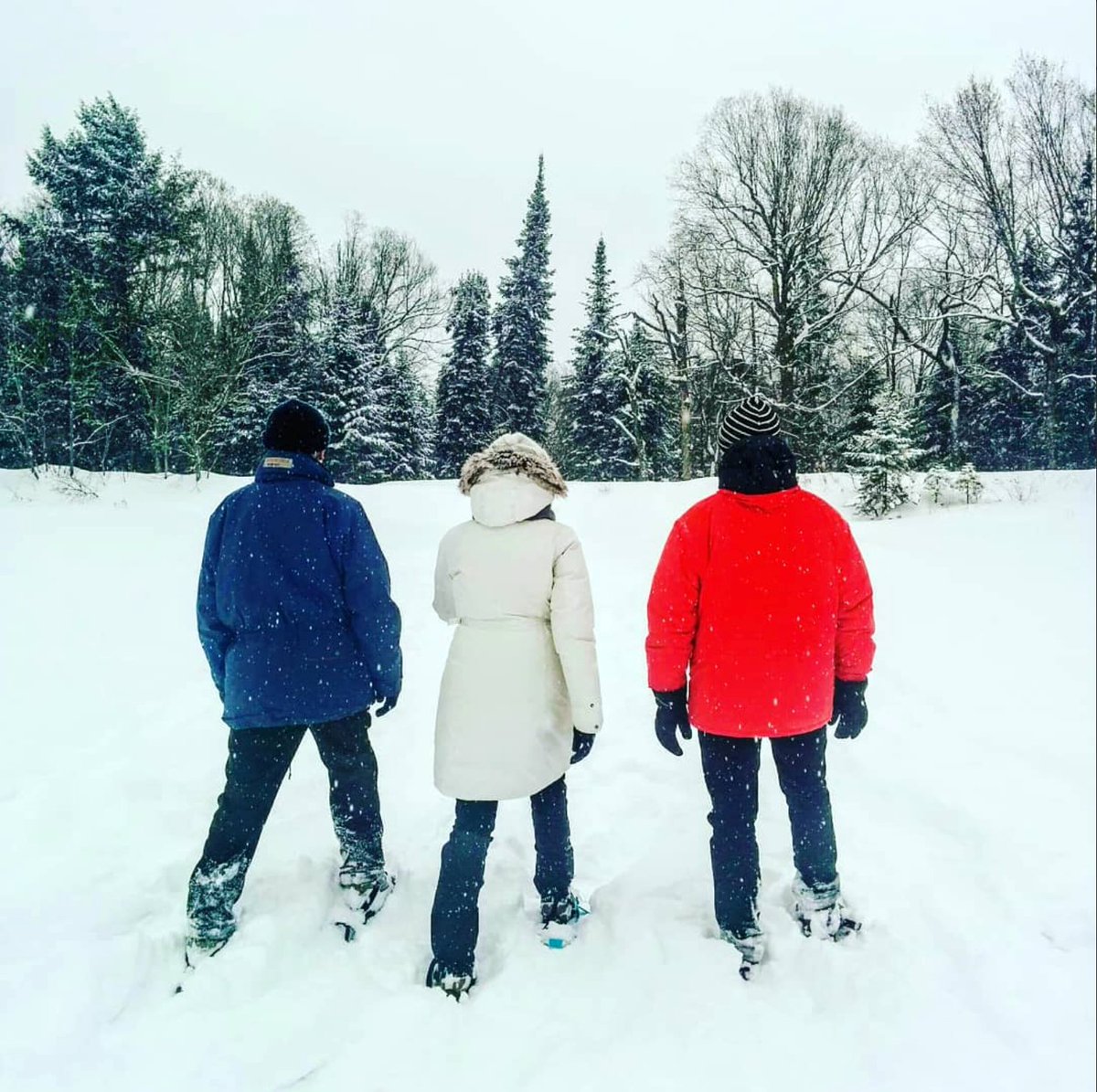 CecileLazz's tweet photo. Arriver dans un nouveau pays, pourquoi est-il important d'embrasser la météo et non de la combattre https://t.co/dmdA3qFYKL A lire ici https://t.co/ciXFt6EaJf #cecilelazartigues #interculturel #immgirationquebec #acculturation #expat #international #quebec #canada #Francequebec https://t.co/NqdgAidQE3