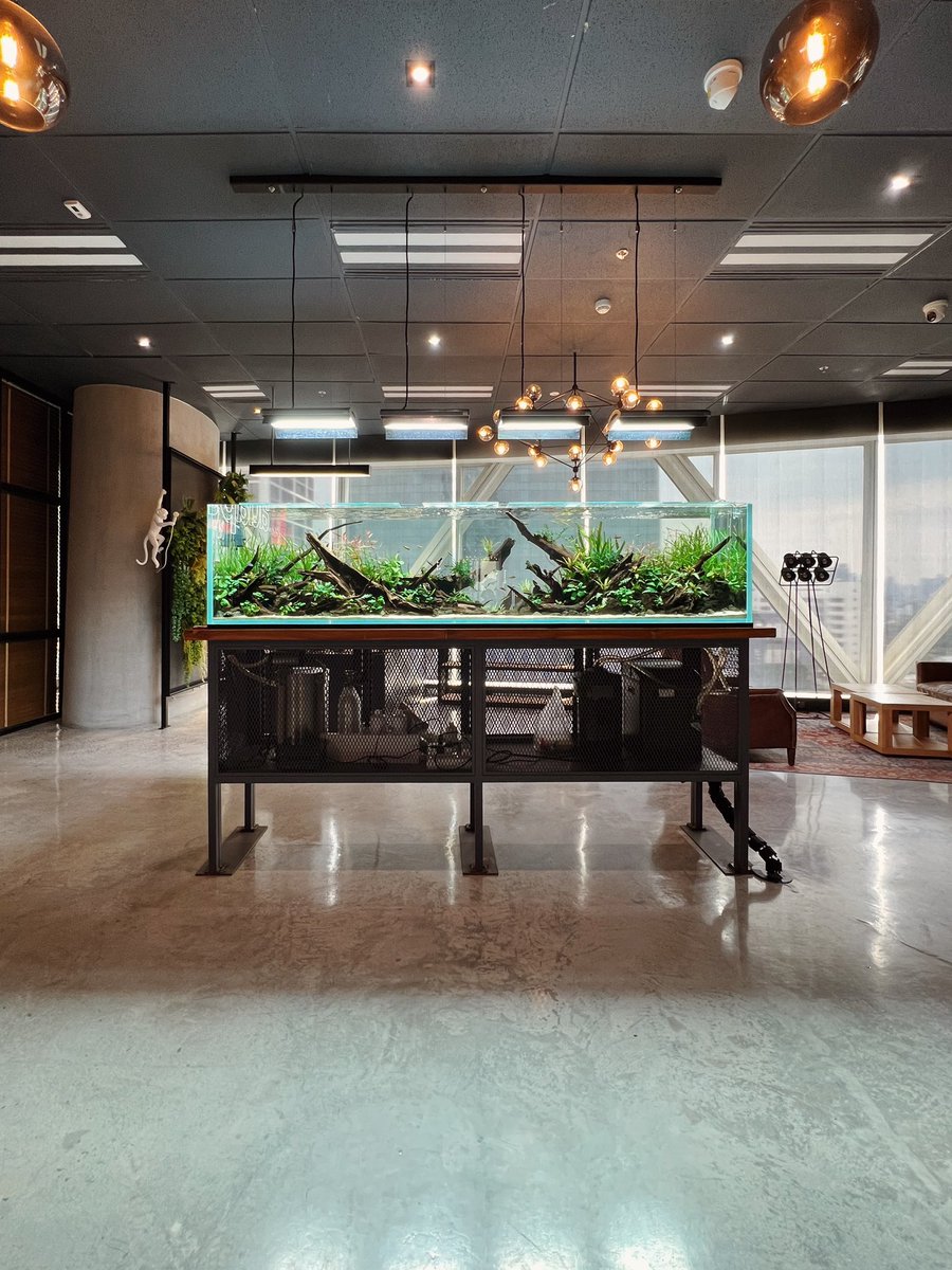Borwornsuk's tweet photo. W250cm at Adapter Digital Group https://t.co/el7UgUlunC