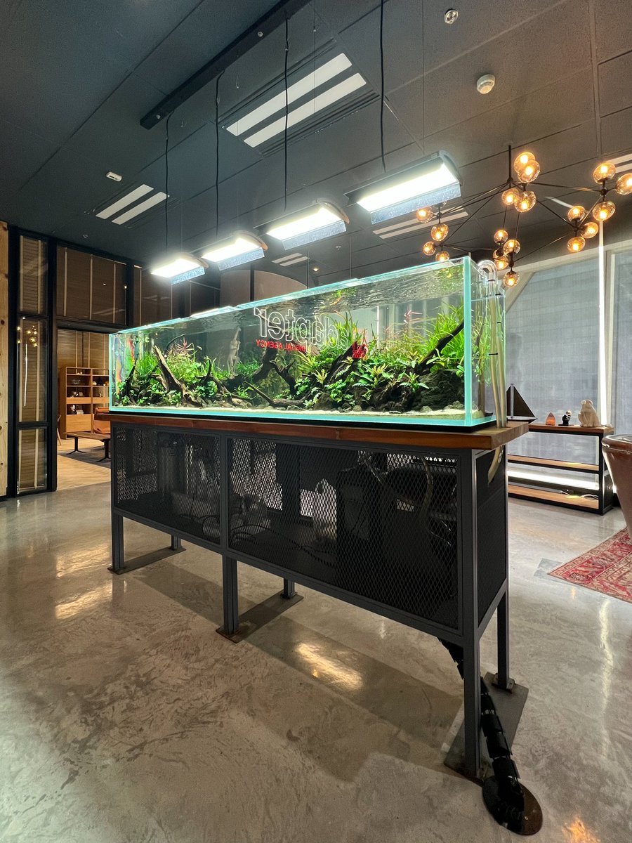 Borwornsuk's tweet photo. W250cm at Adapter Digital Group https://t.co/el7UgUlunC