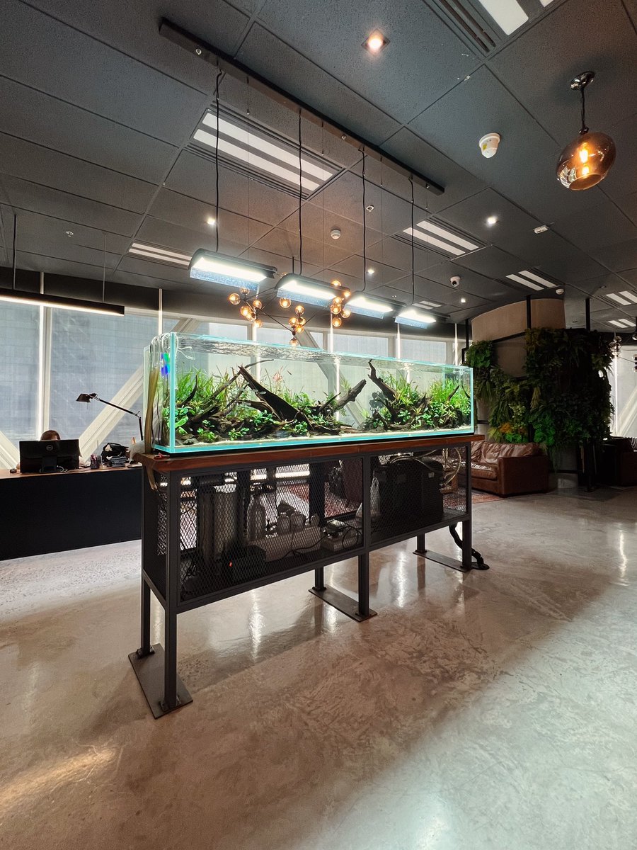 Borwornsuk's tweet photo. W250cm at Adapter Digital Group https://t.co/el7UgUlunC