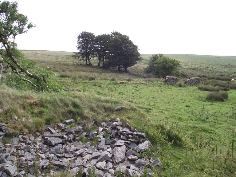 Join our walk leader Steve Key on Thursday 2nd November at 10.30am for a 4-mile walk past the ruins of Larkbarrow Farm and Cottage, built in 1840 as part of the Knight Family’s reclamation of Exmoor Forest. Dogs are welcome, please keep on a lead. exmoorsociety.com