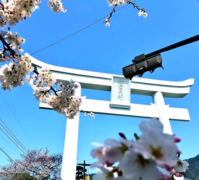 これは昔撮った写真。おいでませ出雲。 