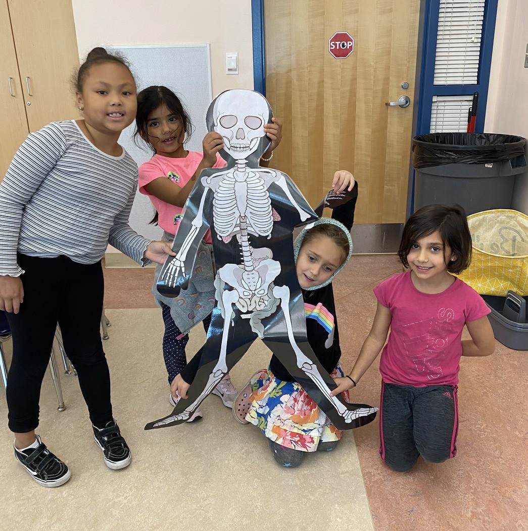 After learning about the skeletal, muscular, circulatory, digestive and nervous systems, Avery students built life-sized models of the human body.  
#DPSAvery  #DPSSchoolDaySnapshots