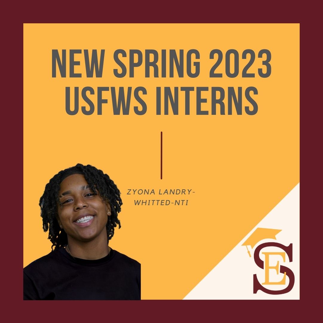 B-CU Together we R.I.S.E.! tweet media