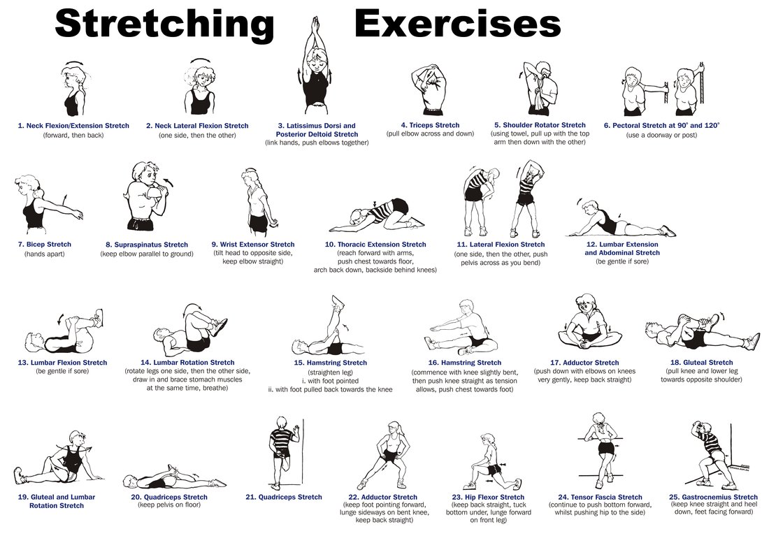 Unlock the Power of Stretching:
instagram.com/p/Cy3OmkhudZq/…

#health #wellness #stretching #stretchingexercises #exercise #fit #healthy #healthylifestyle #lifestyle #toronto #downtown #chiropractic #chiropractor #stayfit #motivation