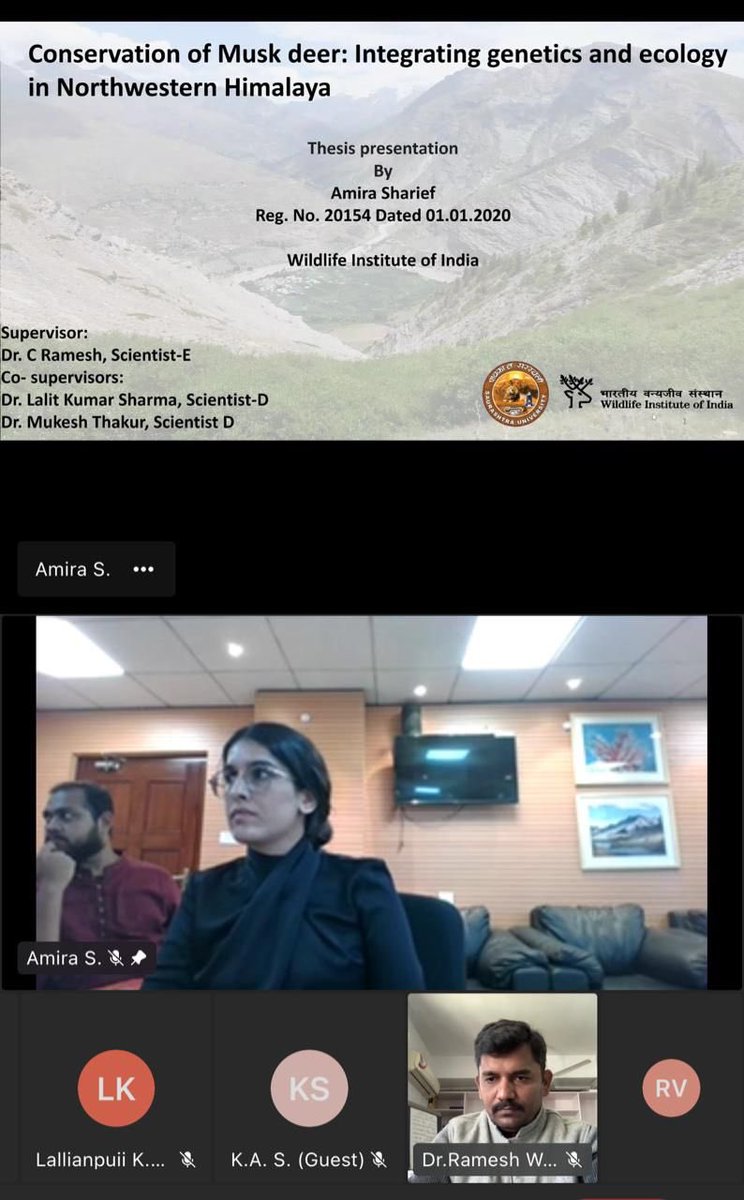 Wildlife Institute of India (@wii_india) on Twitter photo Amira Sharief PhD student of Saurashtra University successfully defended her thesis 'The Conservation of Musk Deer: Integrating Ecology and Genetics in North-western Himalayas' On  26/10/2023 under the supervision of  @Ramesh14170479 from <a href="/wii_india/">Wildlife Institute of India</a>,Drs.Lalit &Mukesh <a href="/ZoologicalI/">Zoological Survey of India</a> Amira Sharief PhD student of Saurashtra University successfully defended her thesis 'The Conservation of Musk Deer: Integrating Ecology and Genetics in North-western Himalayas' On  26/10/2023 under the supervision of  @Ramesh14170479 from <a href="/wii_india/">Wildlife Institute of India</a>,Drs.Lalit &Mukesh <a href="/ZoologicalI/">Zoological Survey of India</a>