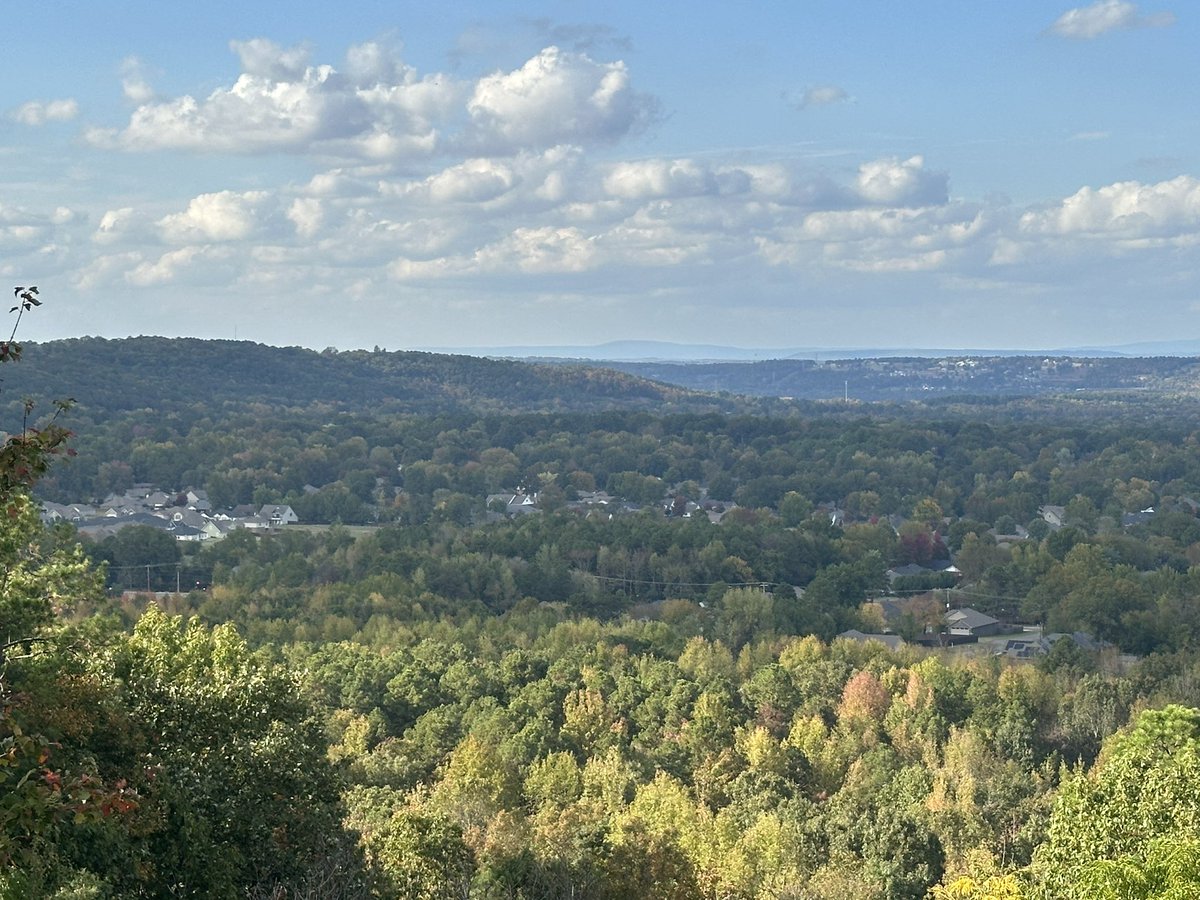 Dan Campbell tweet media