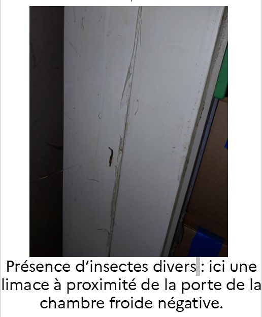 Prefet95's tweet photo. 🔴#santé | Fermeture administrative décidée par @prefet95 de l’établissement « YA KAI », anciennement dénommé « Roi des Gambas 2 », situé avenue de Stalingrad à Garges-lès-Gonesse.

❌denrées alimentaires dont la date de consommation est dépassée
❌locaux et équipements sales
❌denrées conservées dans des conditions inadéquates
❌pratiques d’hygiène non respectées
❌traçabilité des denrées non assurée  

🔴Du fait de ces manquements et en raison du risque de contamination ou de développement de micro-organismes et d’intoxication alimentaire, l’établissement a fait l’objet d’une fermeture.

🟢La mesure de fermeture sera levée dès que l’établissement sera aux normes en vigueur.