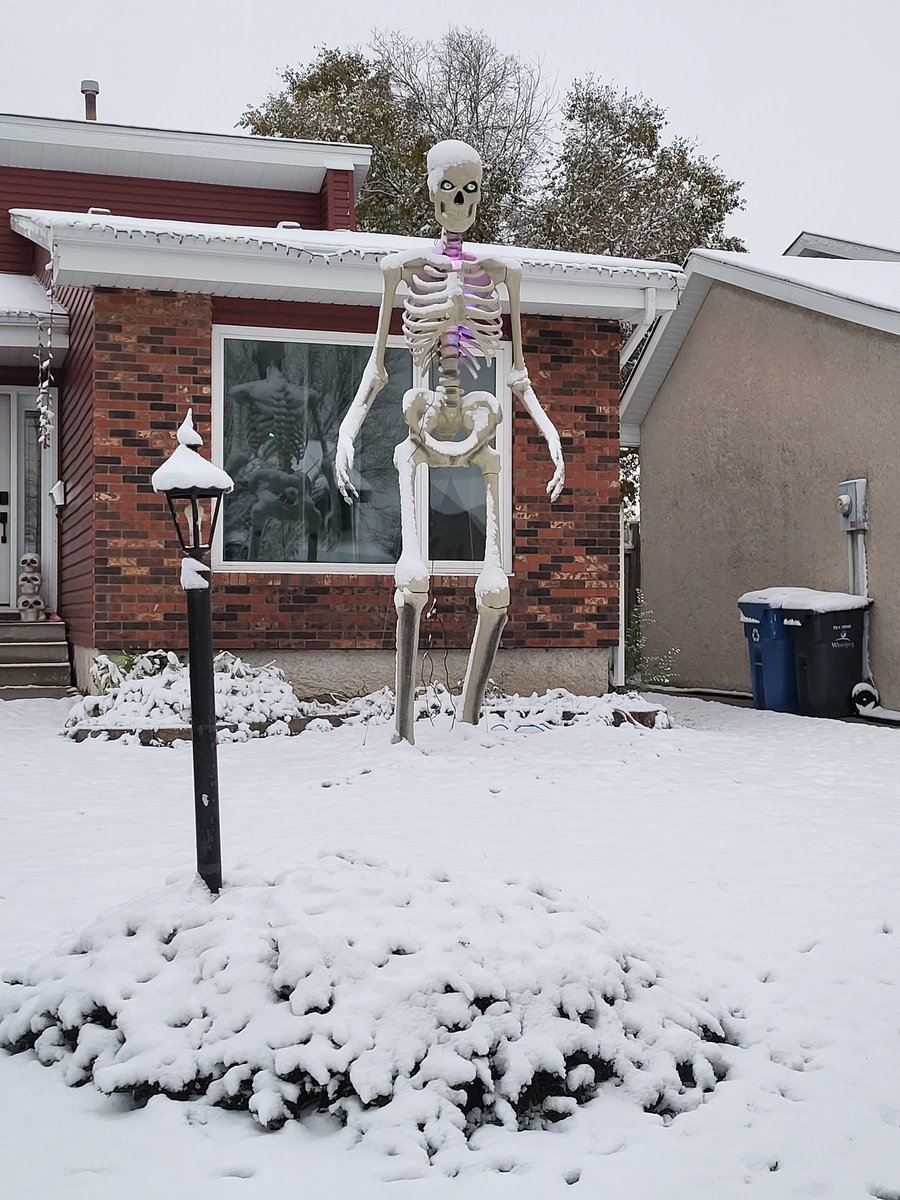 AJ_Aria031729's tweet image. Good morning #Winnipeg or should i say #Winterpeg!