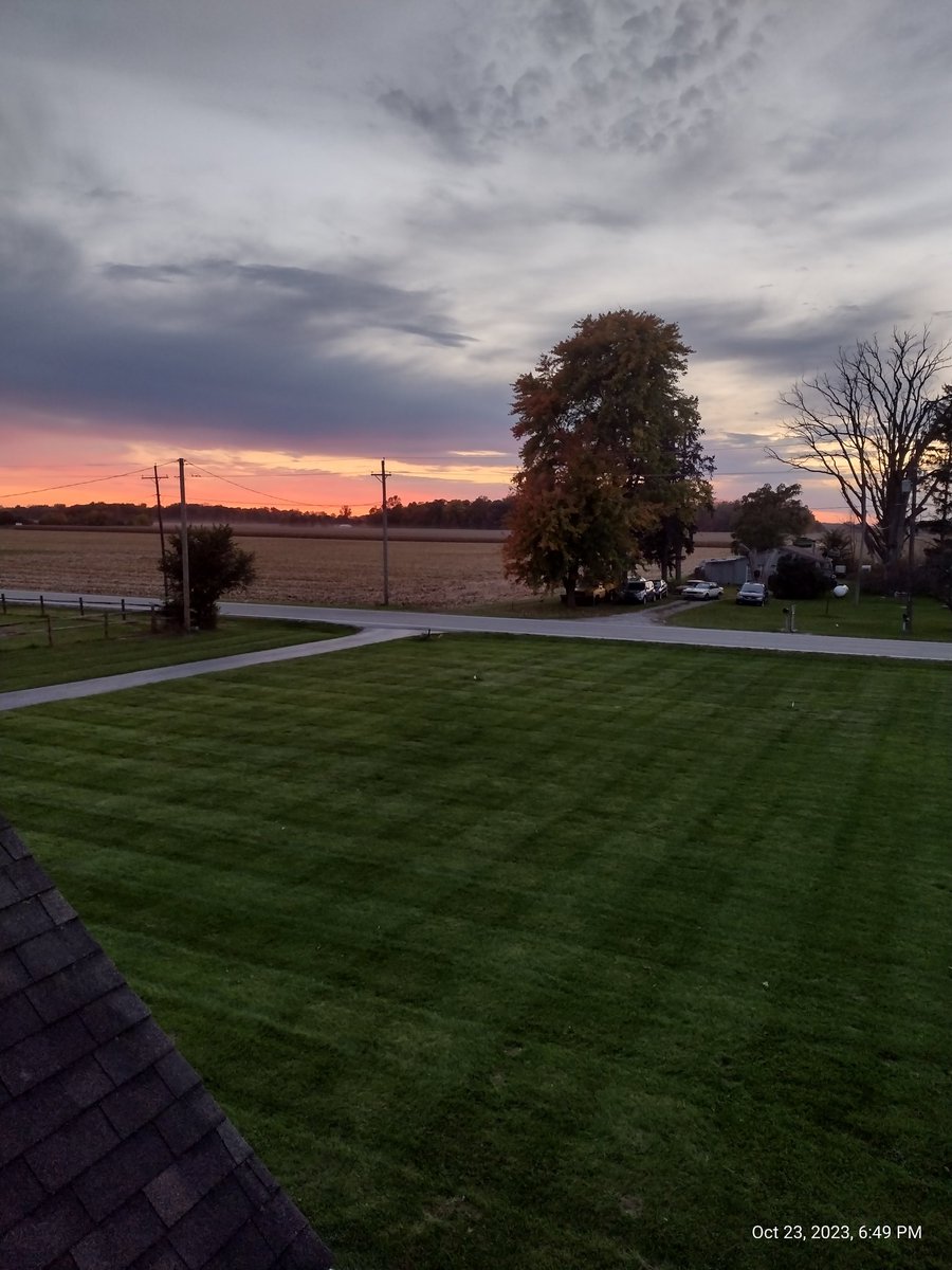 <a href="/OldOcb/">BillyBlaze419</a> #YardNerd #NWOhio