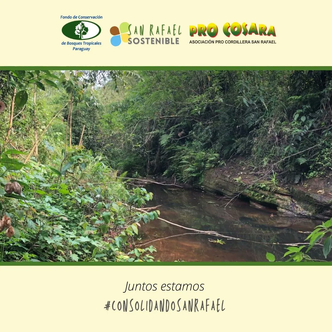 PRO COSARA tweet media