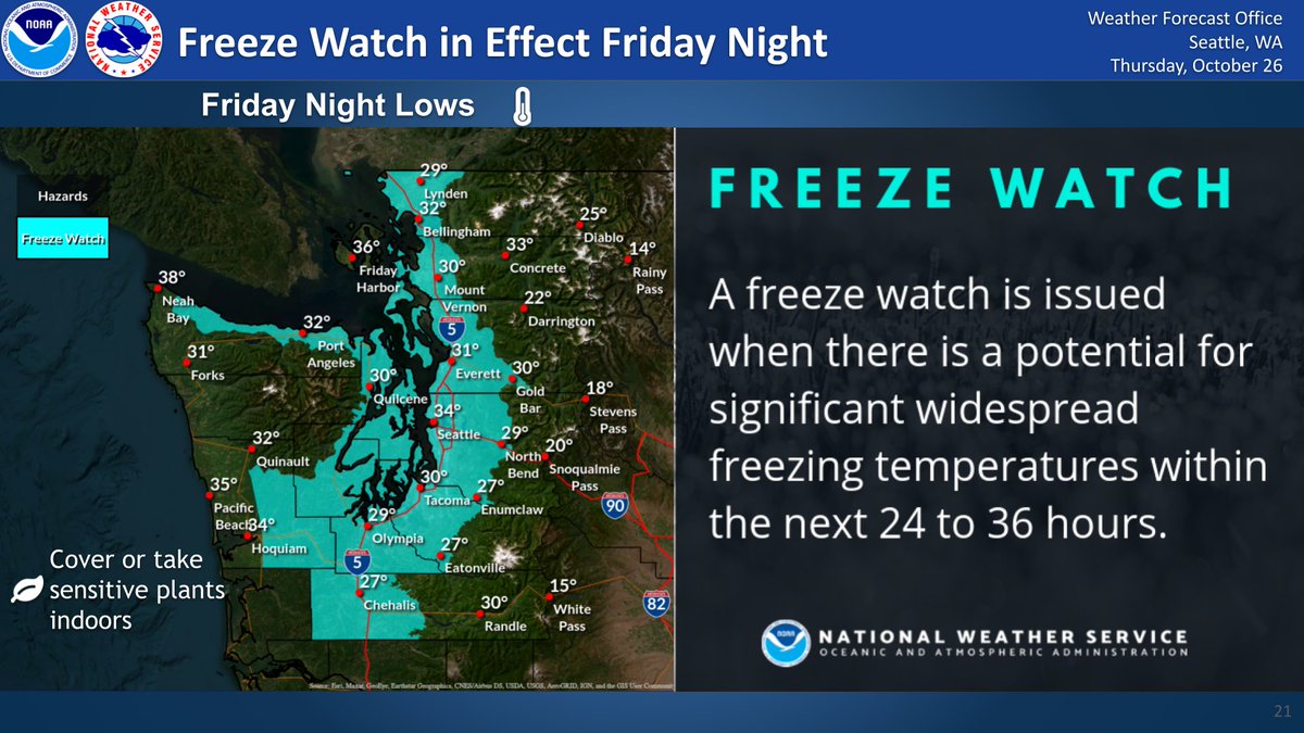 The cold continues through Friday bringing additional chances for frost and hard freezes. We've issued another Frost Advisory for most lowland locations tonight and a Freeze Warning for Friday night with even colder lows that could bring an end to the growing season.🥶 #WAwx