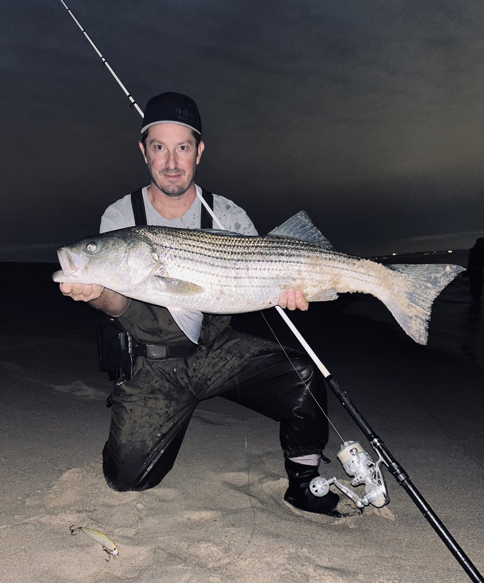 mike_Iaconelli's tweet image. Took a trip up north last night to do a little surf fishing for these beauties! Shout out to South Philly Fred and John Valdez for teaching me some new things! Can’t wait to get back out there and try again! #goingike #ikeapproved #surffishing #stipedbass
