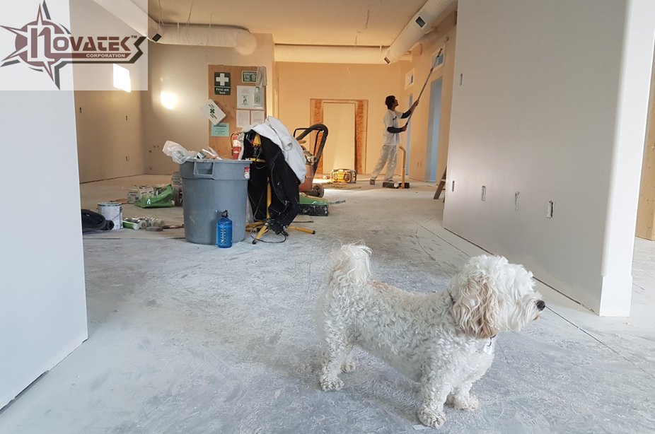 NovatekCo's tweet image. When pets are family, don't leave them in the dust. Novair Air Scrubbers are the simple solution for dust, dirt, and debris NovaTekCo.com

#US #Industrial #Equipment #Manufacturing #thursdaymorning #NationalPumpkinDay #PitDark #RHOBH #stockmarketcrash #Baddie2ndWin #Tbt