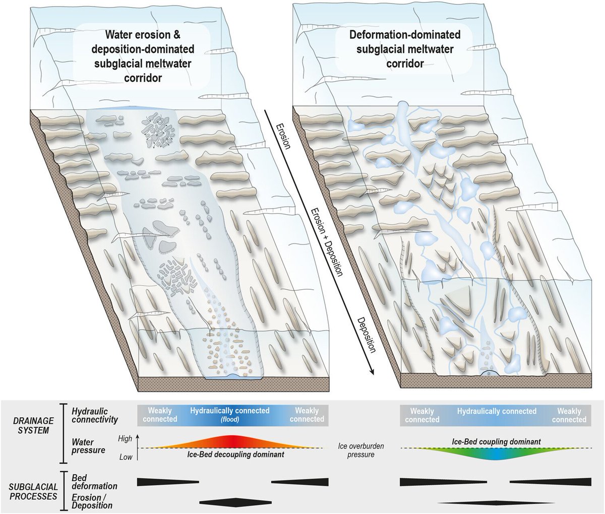 Stephen Livingstone (@living_stephen) on Twitter photo New paper out in ESPL, led by <a href="/Jean_verite96/">Jean Vérité</a>, where we propose that variable ice-water-sediment interactions in response to meltwater forcing can explain the formation of subglacial meltwater corridors. <a href="/ChrisClarkofBC/">Chris Clark</a> <a href="/rob_storrar/">Rob Storrar</a> <a href="/icers_SU/">ICERS at Sheffield</a>
doi.org/10.1002/esp.57… New paper out in ESPL, led by <a href="/Jean_verite96/">Jean Vérité</a>, where we propose that variable ice-water-sediment interactions in response to meltwater forcing can explain the formation of subglacial meltwater corridors. <a href="/ChrisClarkofBC/">Chris Clark</a> <a href="/rob_storrar/">Rob Storrar</a> <a href="/icers_SU/">ICERS at Sheffield</a>
doi.org/10.1002/esp.57…