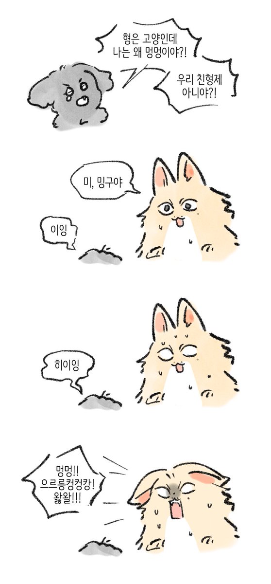 안경처돌이 tweet media
