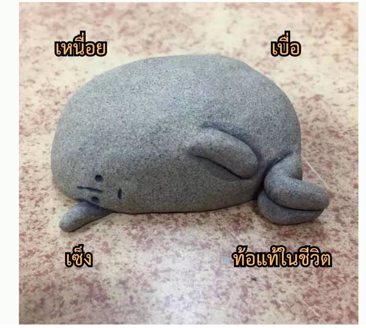 รีวิวสภาพกูในทุกๆวัน :