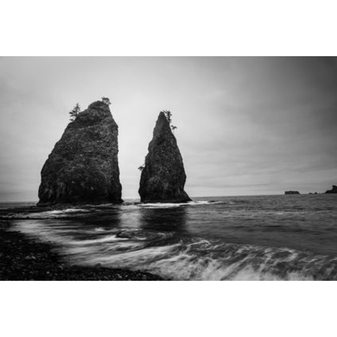CollegePhotog's tweet photo. Cole Quinn from Washington State University has been named a Finalist in the Illustration category. Congratulations! #CPOY78 https://t.co/UHpwY99FC3