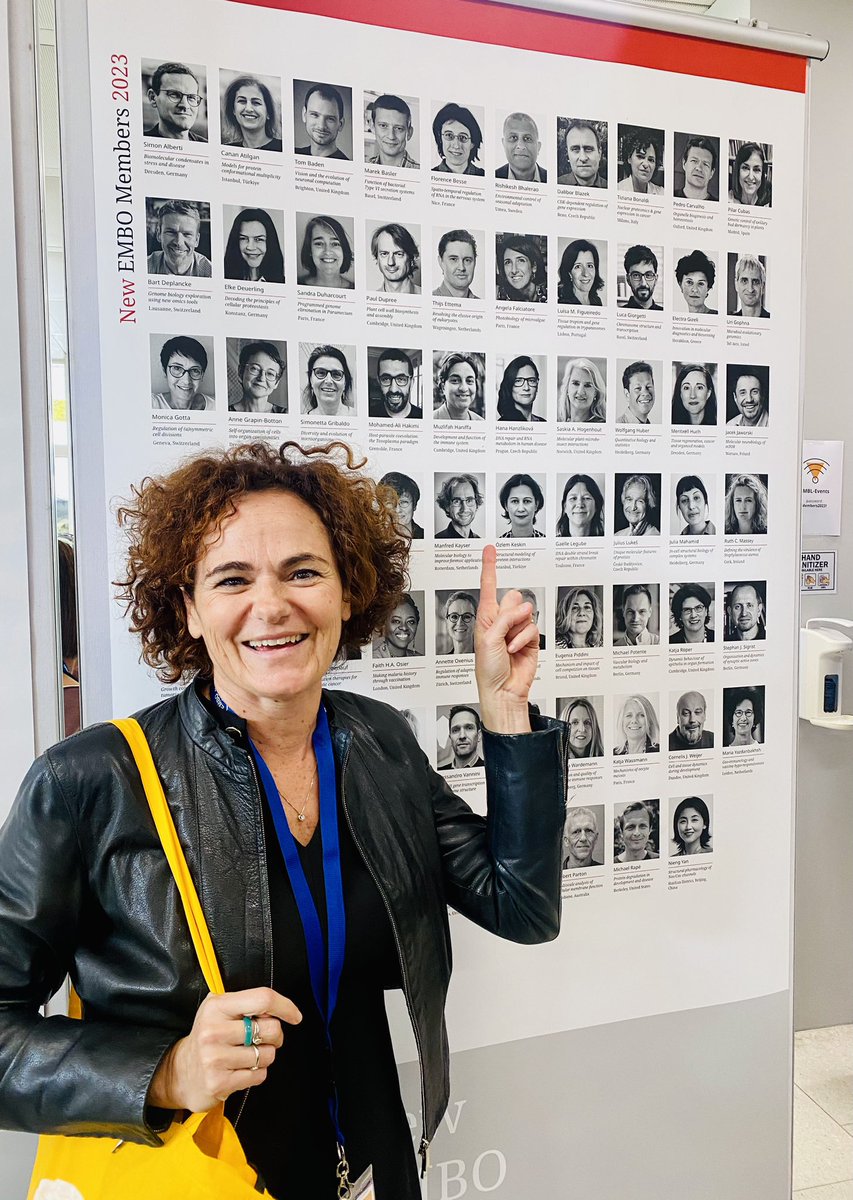 tiziana bonaldi tweet media