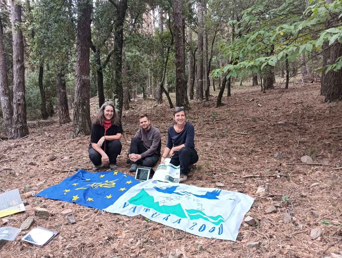 LifeBiorgest tweet media