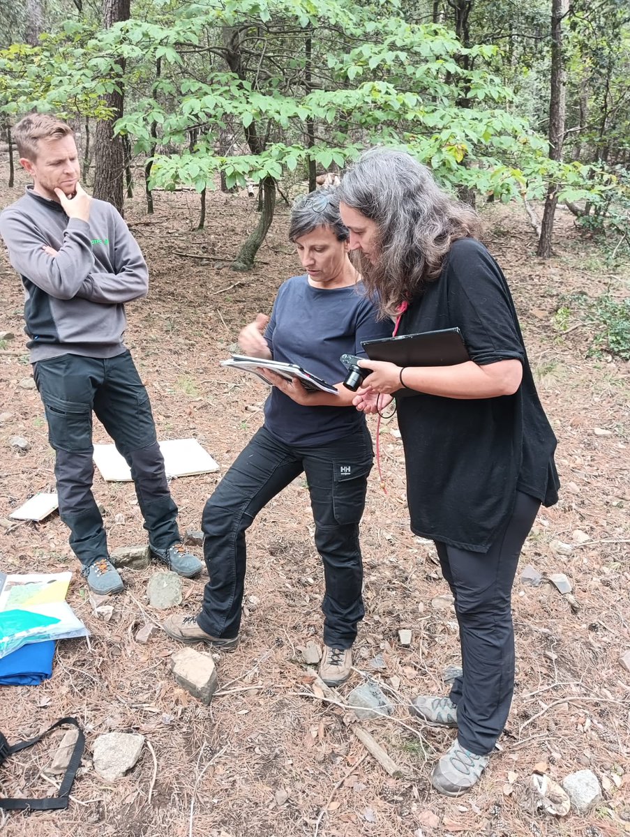 LifeBiorgest tweet media