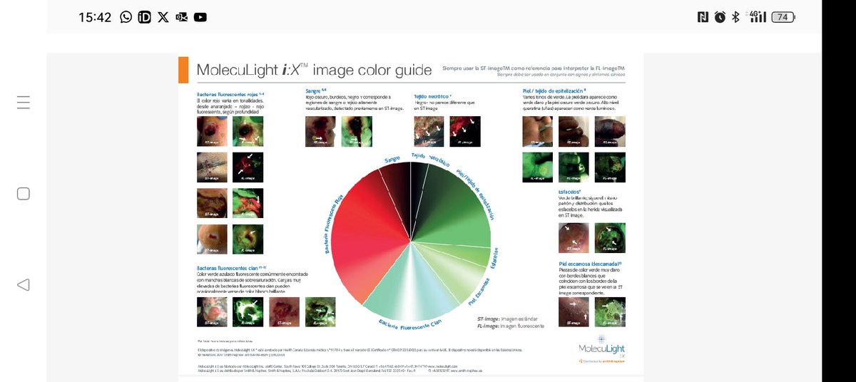 Interpretació de la fluorescència mitjançant el moleculight