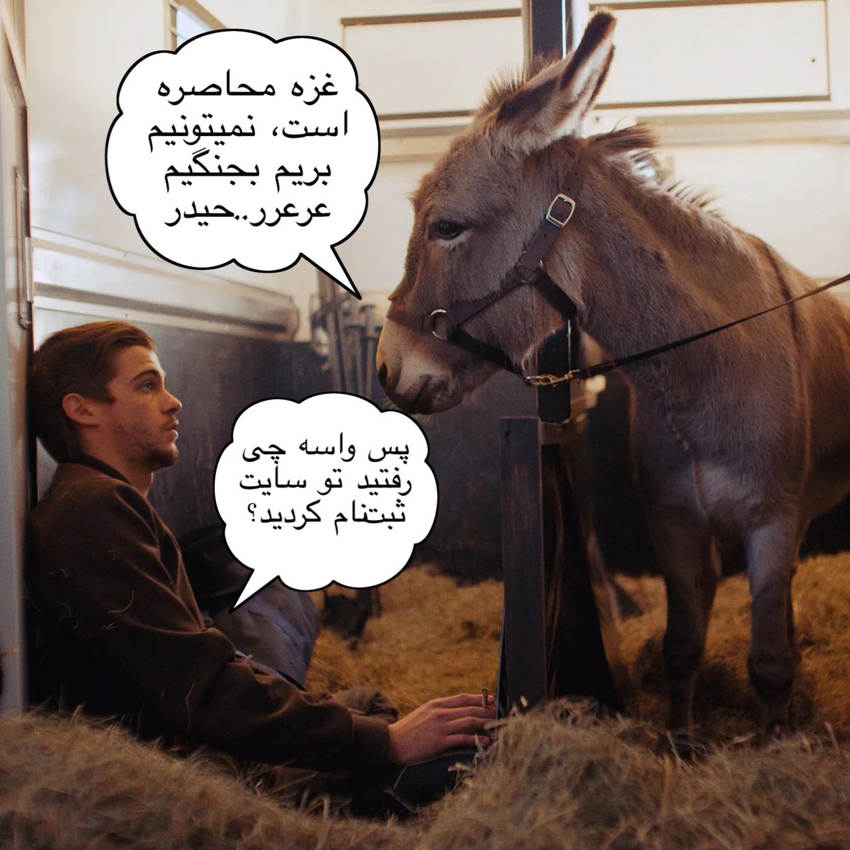  Soheil Zand tweet media