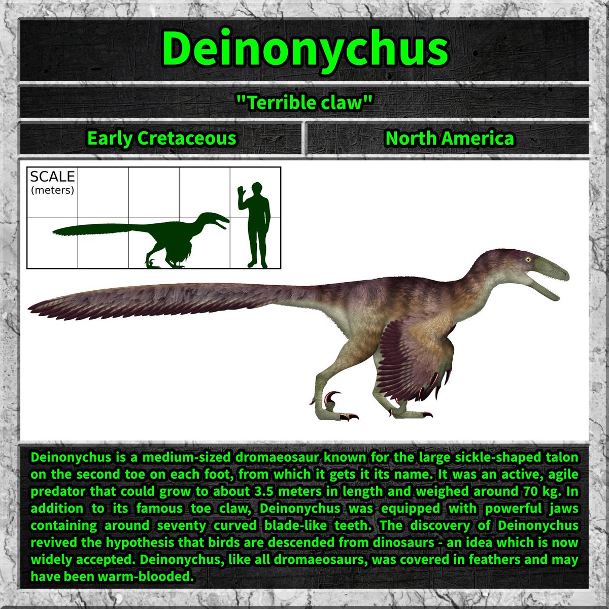Total_Dino's tweet image. #deinonychus #dinosaur #lifeonourplanet