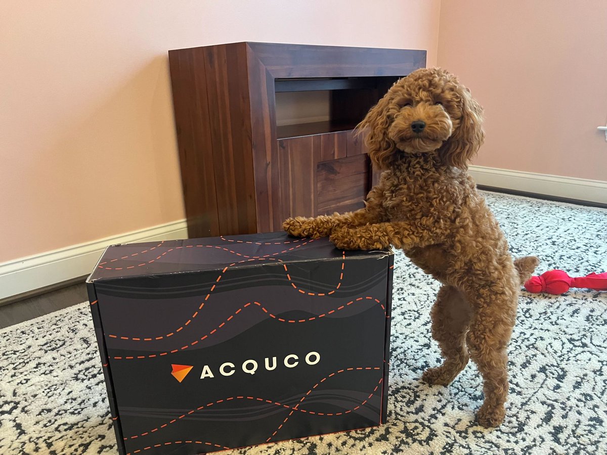 Acquco's tweet image. At Acquco, our employees bring their whole selves to work, including their furry companions! Today, we want to take a moment to celebrate the amazing pets that bring joy, laughter, and unconditional love to our workplace. 🎉🐶🐱

Wishing you all a pawsome day ahead! 
#Petsatwork